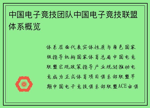 中国电子竞技团队中国电子竞技联盟体系概览